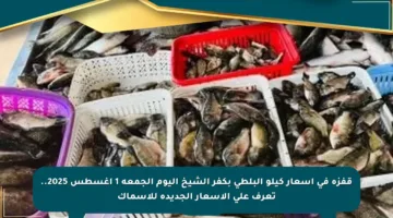 قفزة في أسعار كيلو البلطى بكفر الشيخ اليوم الجمعة 1 أغسطس 2025.. تعرف على الأسعار الجديدة للأسماك